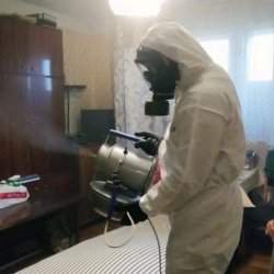 Дезинфекция от клопов в Донецке