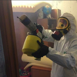 Уничтожение клопов в квартире. Донецк